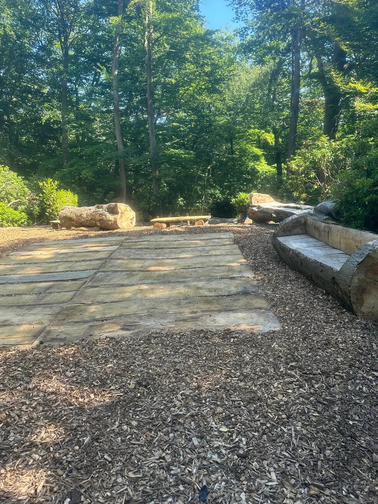 A stone walkway in the middle of a forest.