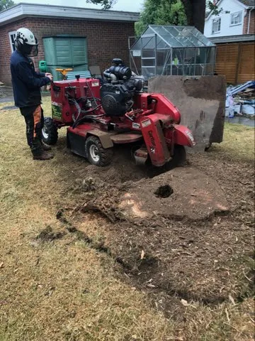 A man standing next to a red lawn mower.
