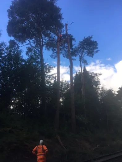 A man in an orange jacket standing in front of trees.