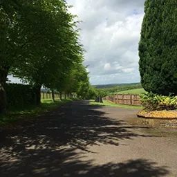 A paved road with lots of trees on both sides.
